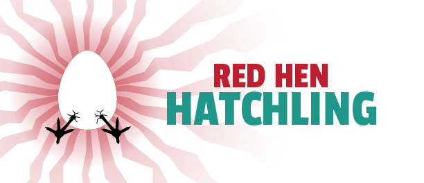 Hatchling Design Walk-through